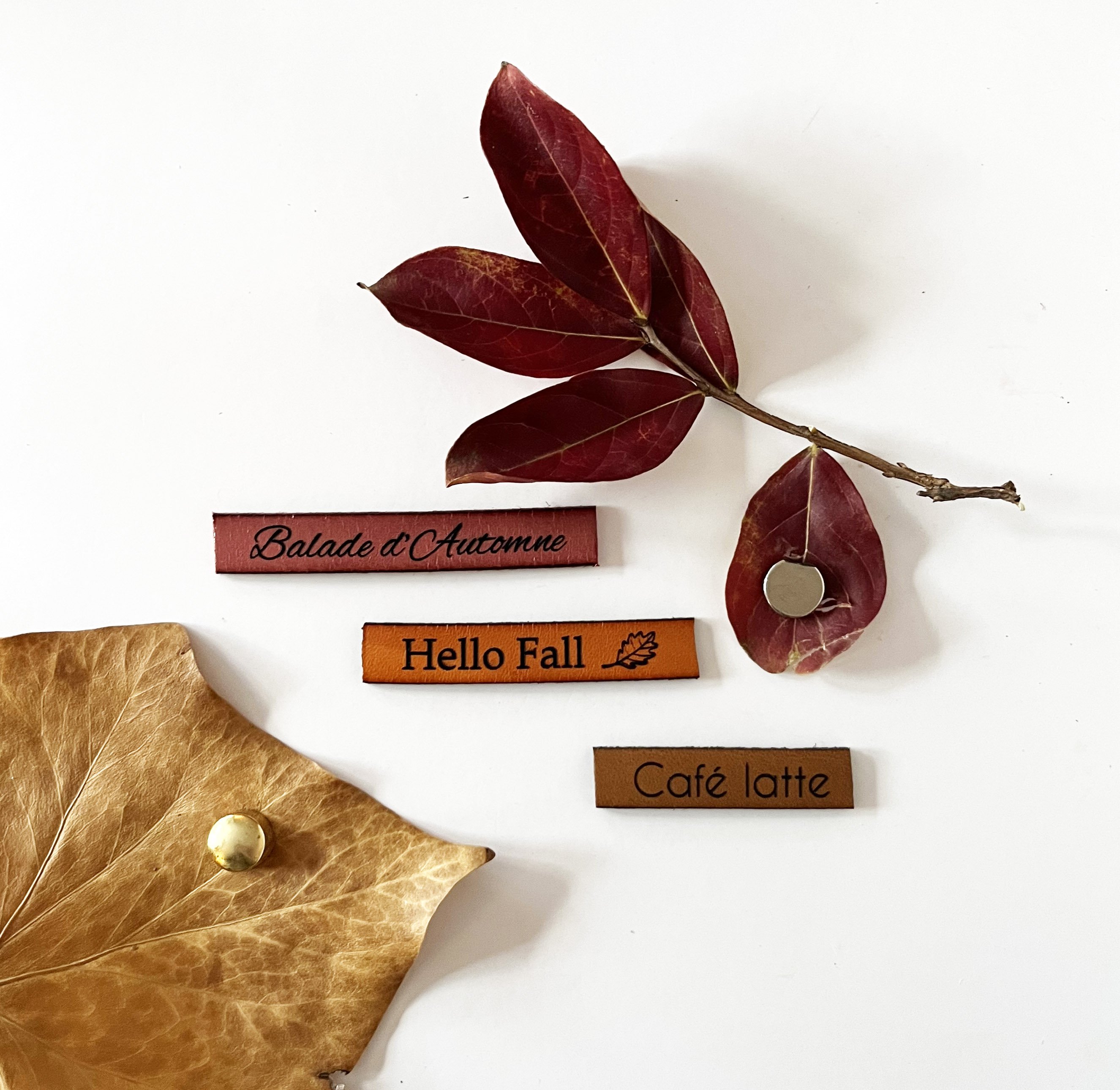 Ensemble magnets en cuir grav&eacute; th&egrave;me automne 